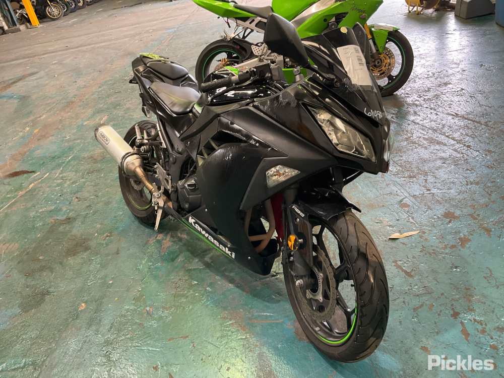 2017 Kawasaki Ninja 300 EX300A Pickles