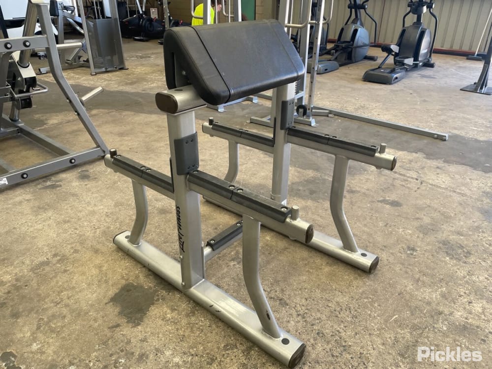 Life Fitness Arm Curl Bench 45 degree Preacher Pickles