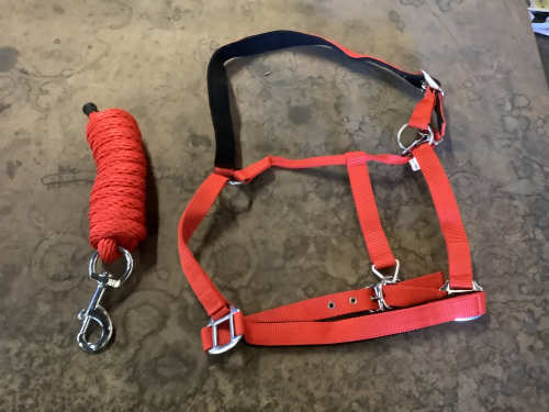 slide-items-3